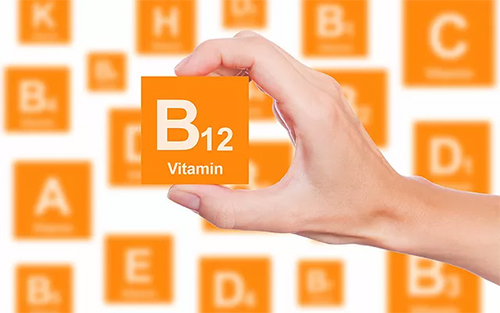 Discover The Best Foods With Vitamin B12