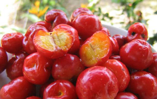 Discover The Top 5 Vitamin C Rich Foods