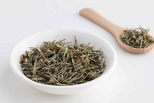 Horsetail Plant: 12 Amazing Health Benefits You Should Be Aware of