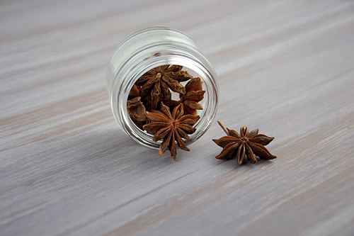 Star Anise Plant: Spice, Remedy, or Both?