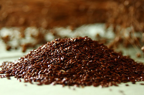 Flaxseed Plant: The Natural Path to Better Heart Health