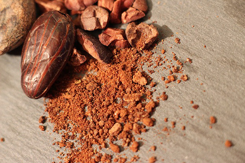 Cacao Plant: Your Secret Weapon for Optimal Health