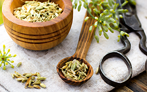 Fennel Seeds Health Benefits