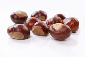 horse chestnuts among the best herbs for varicose veins