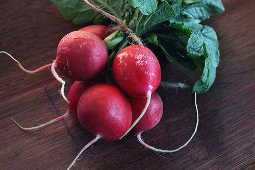 The Underrated Radish Plant: Your Guide to Better Health