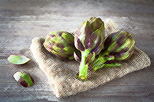 The Artichoke Plant’s Benefits