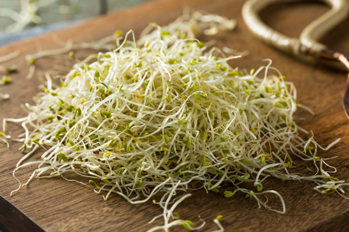 Health Benefits of Alfalfa Sprouts: Under-appreciated But Great Value Food