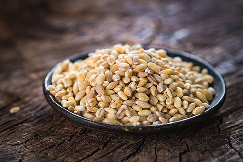 Barley Health Benefits: Excellent Remedy for Digestion