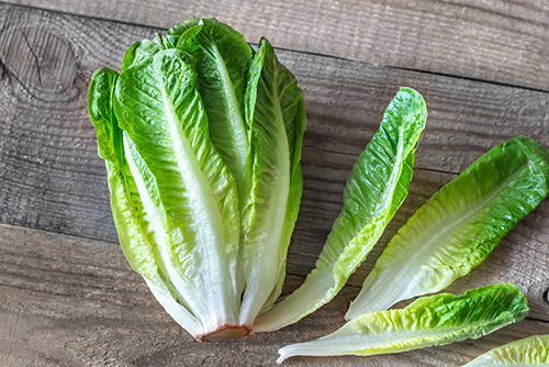 Health Benefits of Lettuce