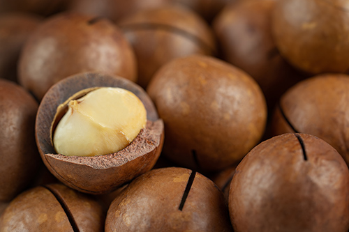 Benefits of Macadamia Nuts: Discover The Amazing Health Properties