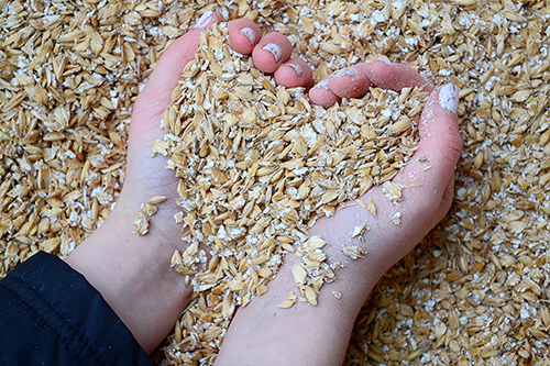 Health Benefits of Oats