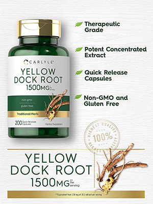 YELLOW DOCK: Wild traditional root herb with plant compounds used in Ayurvedic wellness practices