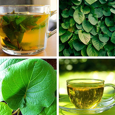 Premium Yerba Santa Leaf Grounded