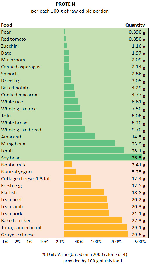 List of protein sources both plant and animal based