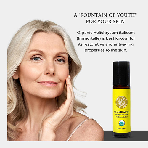 Organic Helichrysum Italicum Essential Oil & Jojoba Roll On