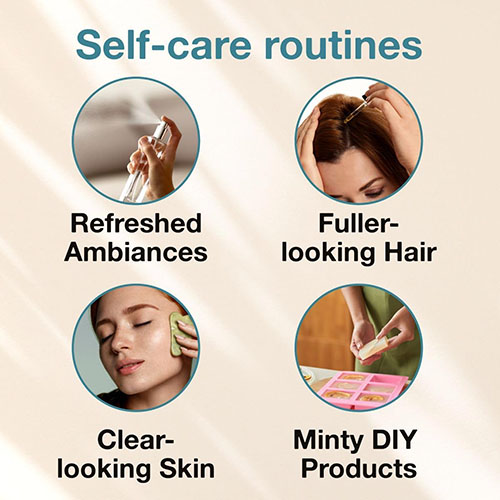 Natural Mint Essential Oils