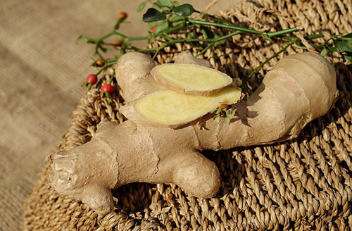 ginger root on display