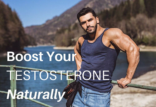 herbs for increasing testosterone