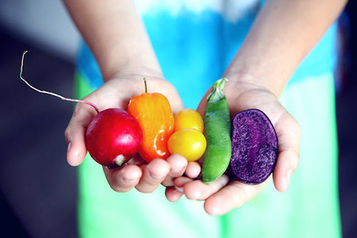 someone holding a variety of vegetables in their hands