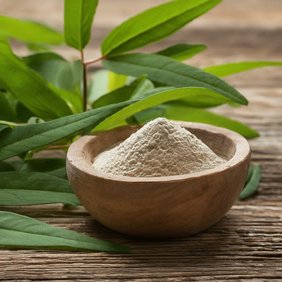 a bowl of Polygonum hydropiper powder