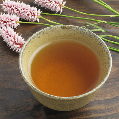 a cup of bistort tea