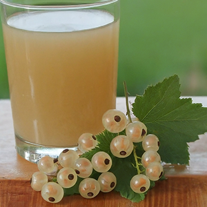 white currant juice