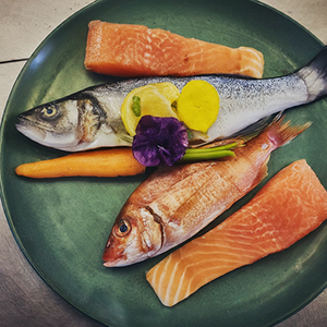 different fishes on a plate