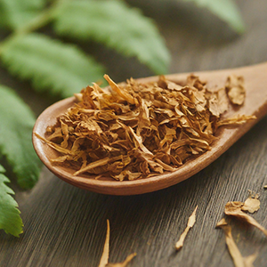 fumitory dried extract on a spoon