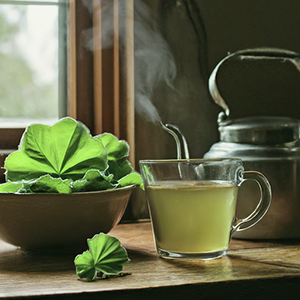 lady's mantle plant leaf along with a cup of tea