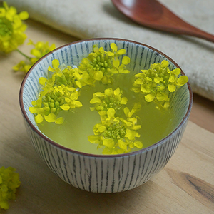 cup of hedge mustard tea 