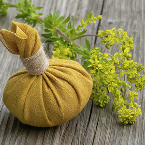 compress made with the yellow bedstraw plant