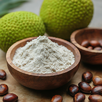 Bowl of breadfruit flour surrounded by seeds.