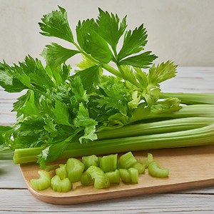 celery stalk