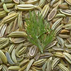 fennel seeds