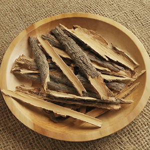 bark of the bird's tongue plant