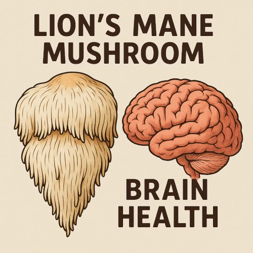 linon's mane mushroom important for brain health