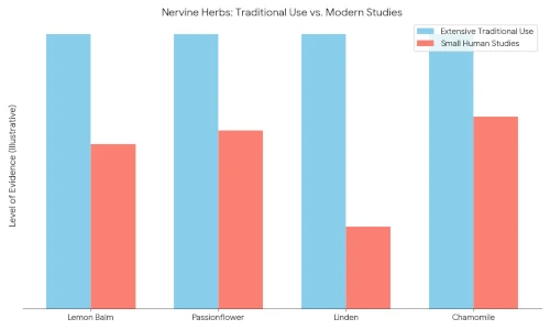 Simple chart showing traditional use with small but promising human studies for select nervine herbs.